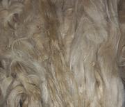 Hellbeiges Surifvlies