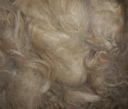 Hellbeiges Surifvlies, sehr fein, wehnig Stroh, mittlere Länge, 