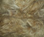 Sehr schönes hellbraunes Suriflies, sauber und sehr weich