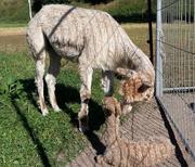 Mutter mit ihrem frisch geborenen 
